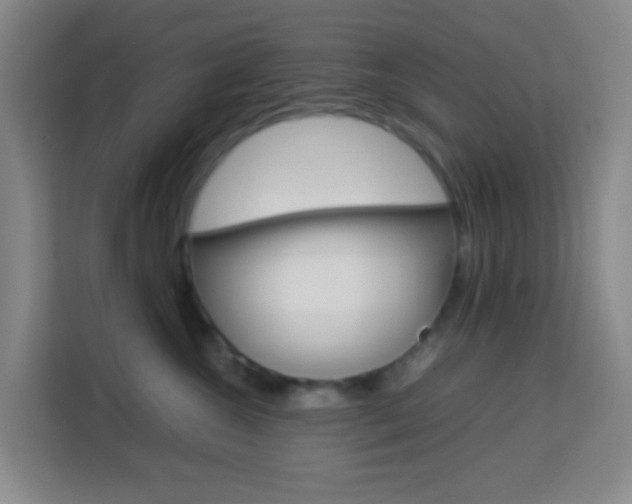 X0000114060572200910050958