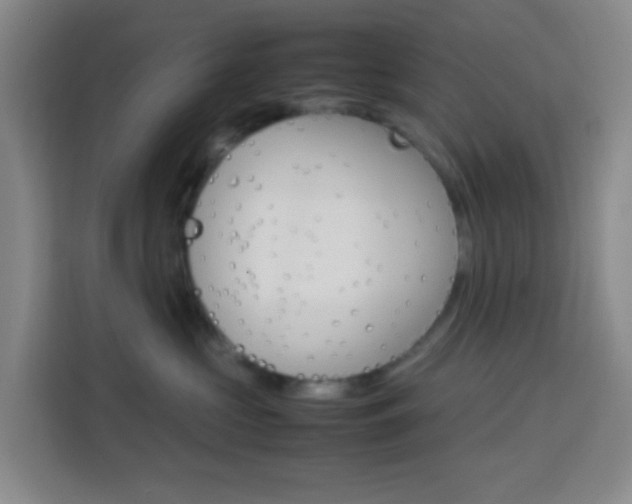 X0000114060573200910050958