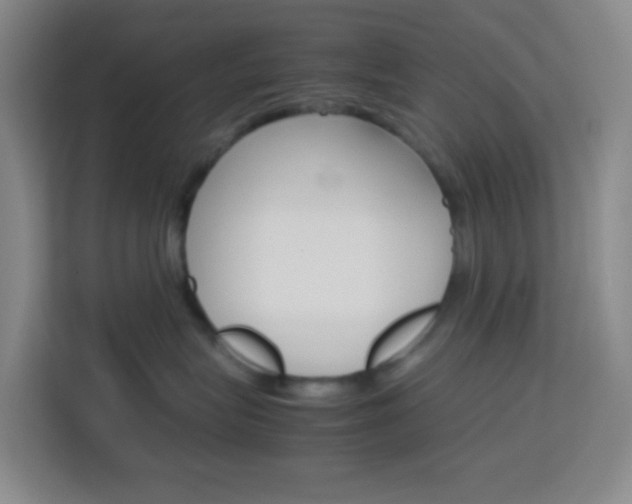 X0000114060575200910050958