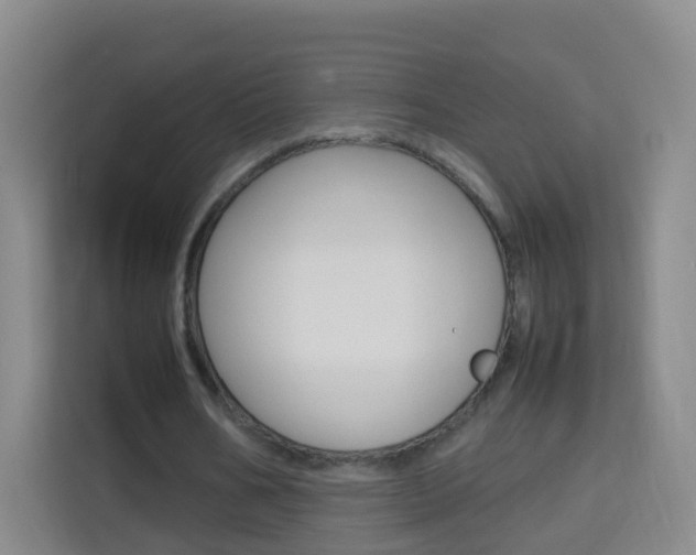 X0000114060578200910050957