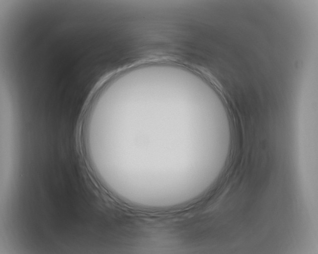 X0000114060579200910050957