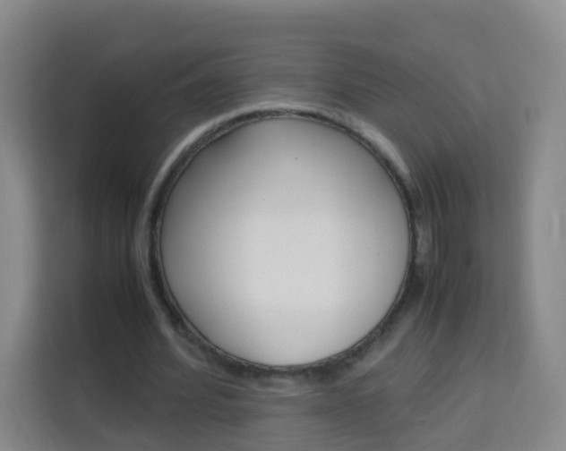 X0000114060580200910050957