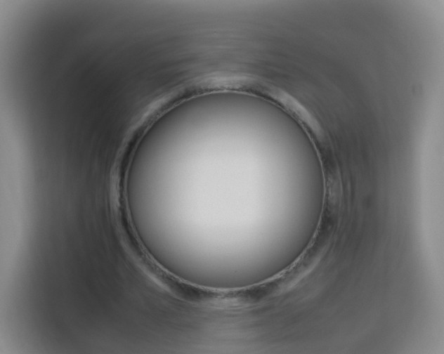 X0000114060581200910050957