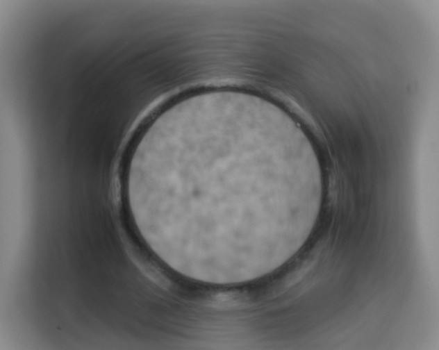X0000114060584200910050957