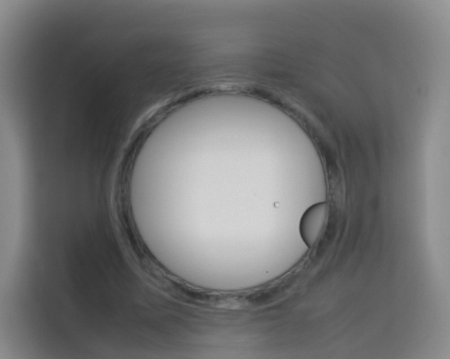 X0000114060587200910050957