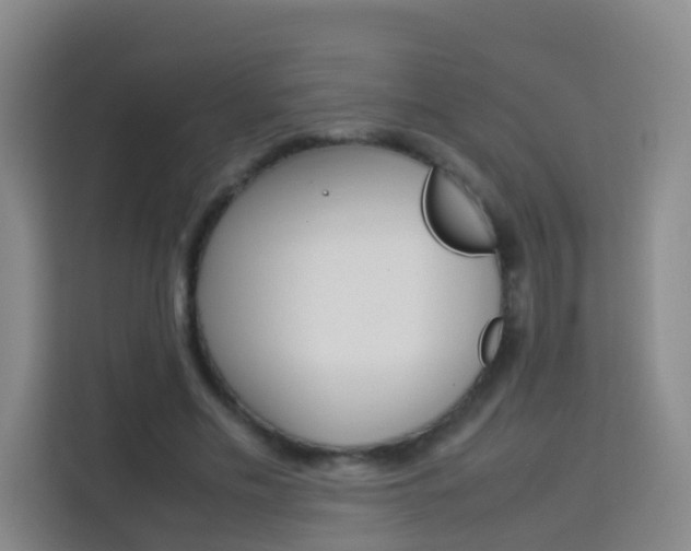 X0000114060589200910050957