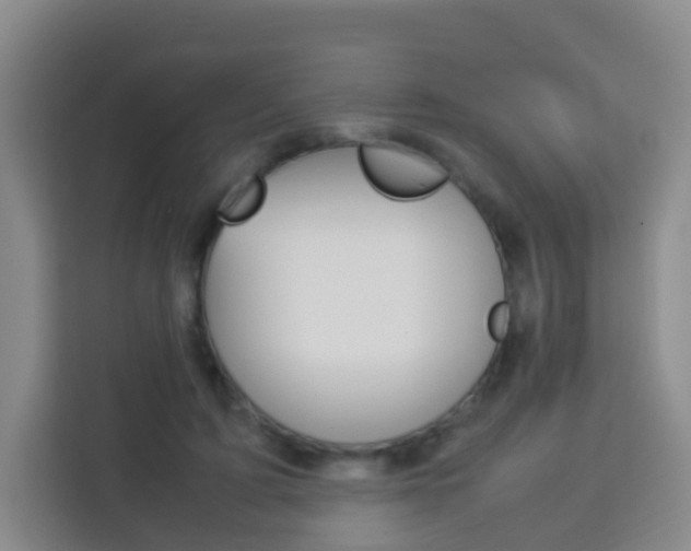 X0000114060595200910050957