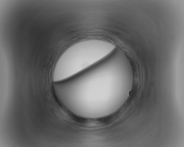 X0000114060605200910050957
