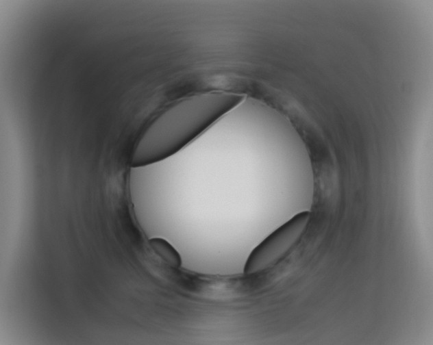 X0000114060611200910050957