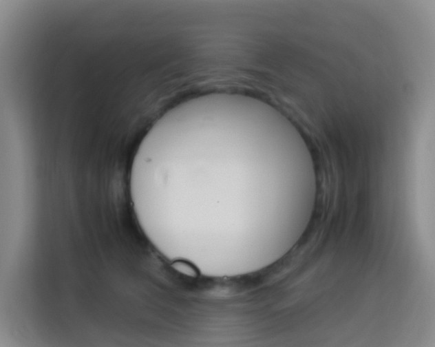 X0000114060612200910050957