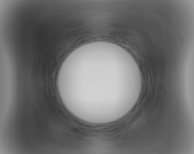 X0000114060613200910050957