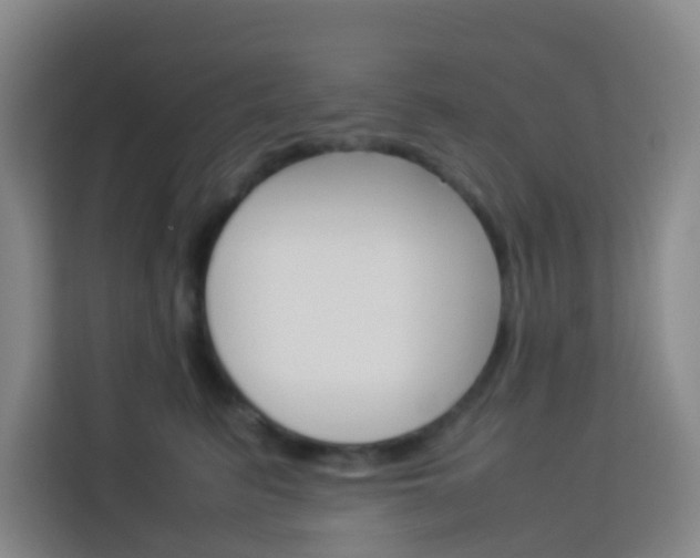 X0000114060615200910050957
