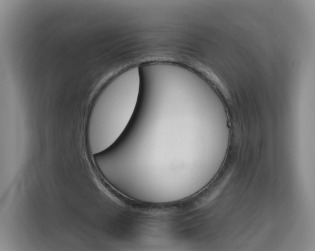 X0000114060625200910050956