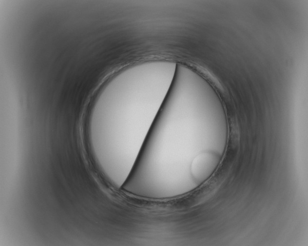 X0000114060626200910050956