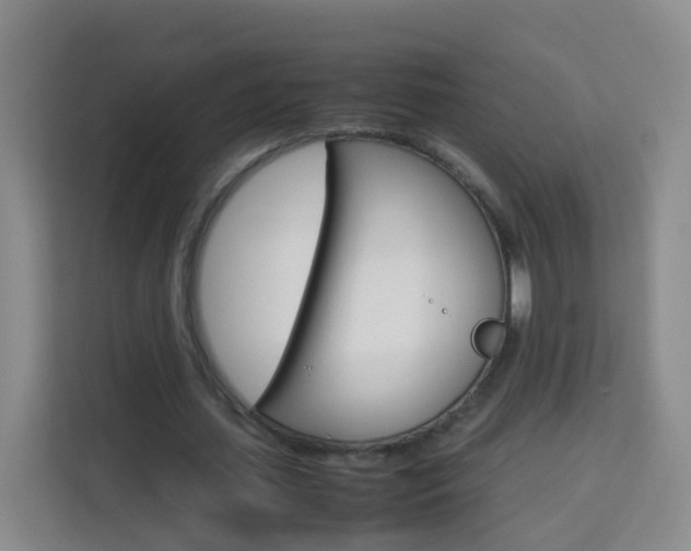 X0000114060627200910050956