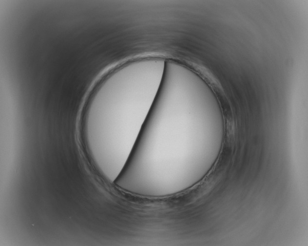 X0000114060628200910050956