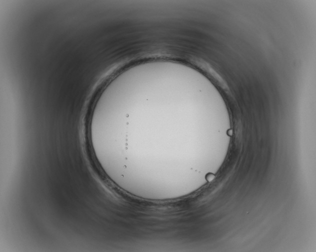 X0000114060629200910050956