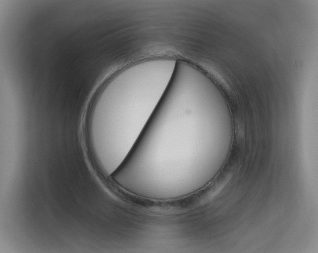 X0000114060630200910050956