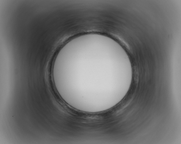 X0000114060631200910050956