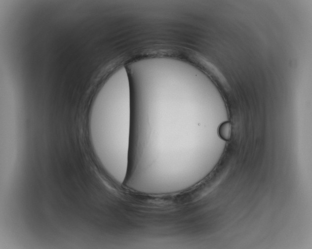 X0000114060633200910050956