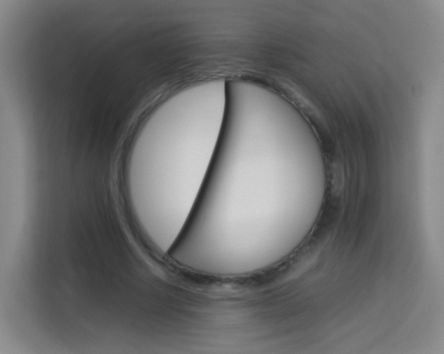 X0000114060634200910050956