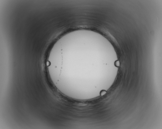X0000114060635200910050956