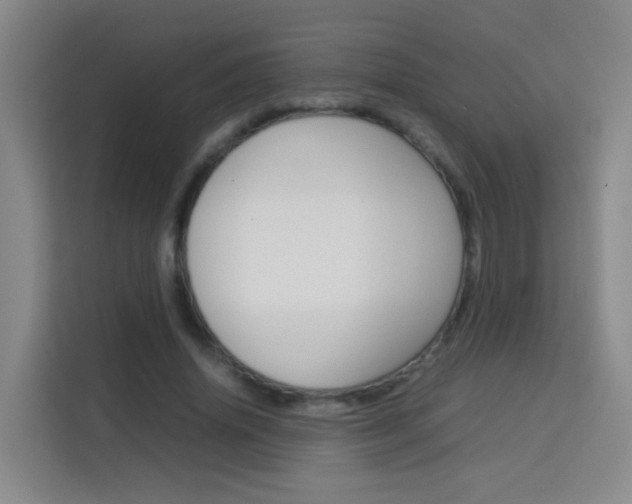X0000114060636200910050956