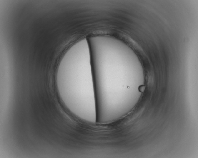 X0000114060637200910050956