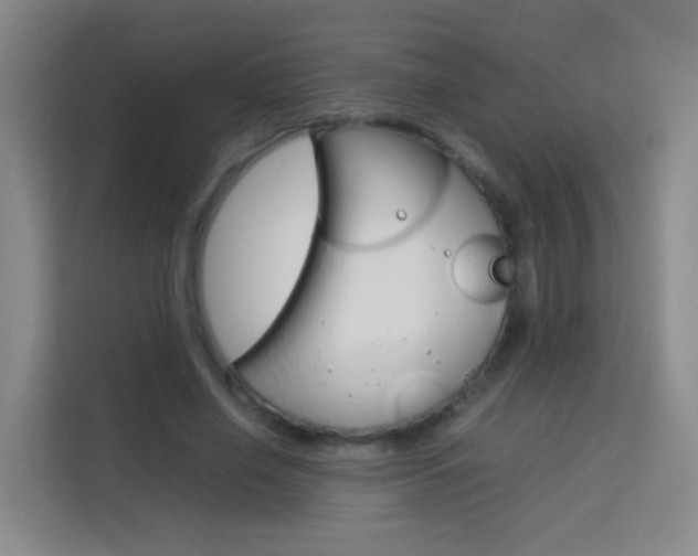 X0000114060638200910050956