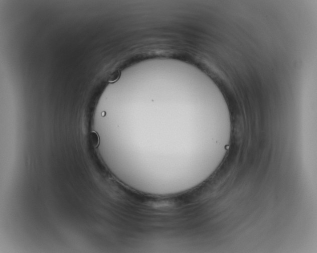 X0000114060639200910050956