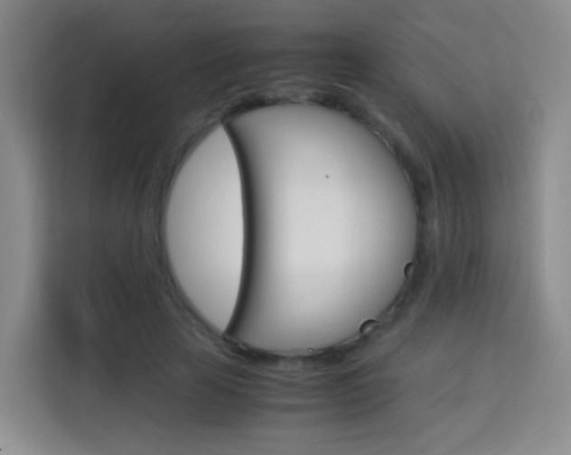 X0000114060641200910050956