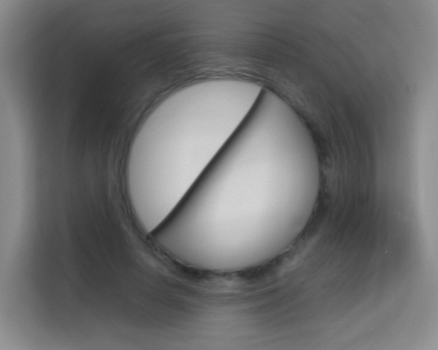 X0000114060642200910050956