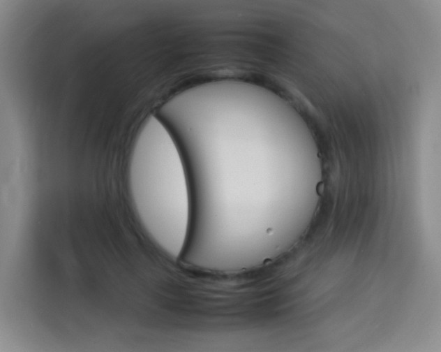 X0000114060643200910050956