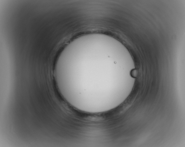 X0000114060644200910050956