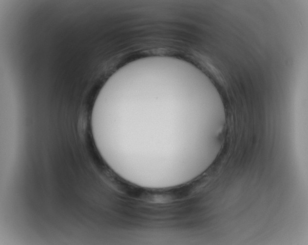 X0000114060645200910050956