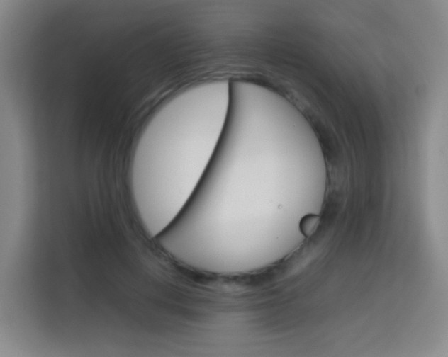 X0000114060648200910050956