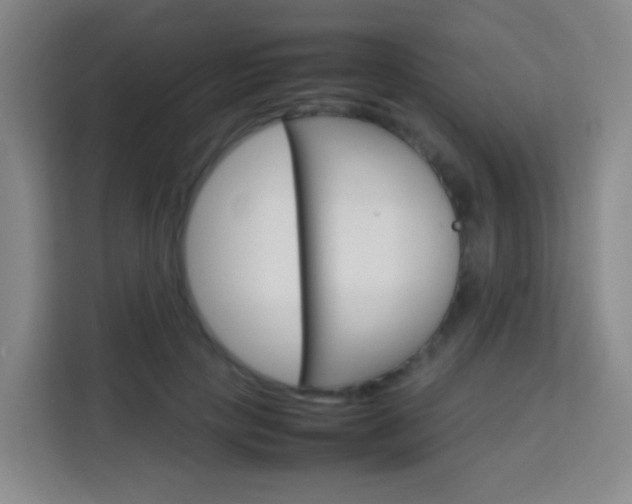 X0000114060649200910050956