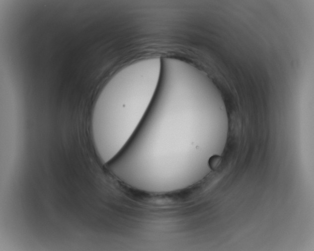 X0000114060650200910050956