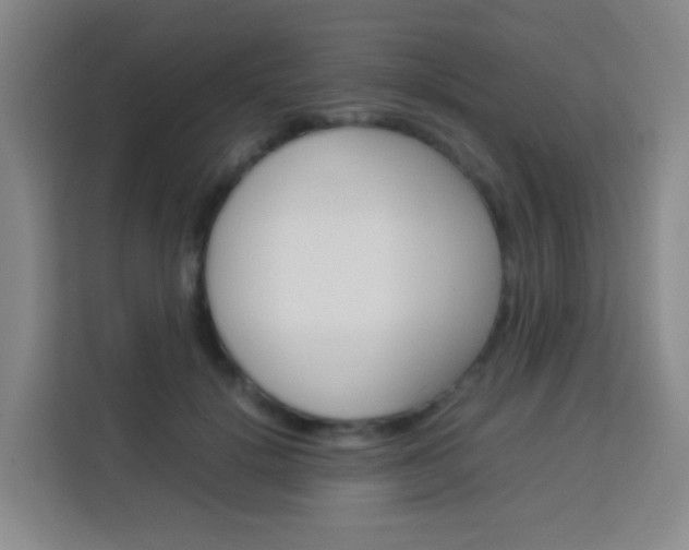 X0000114060652200910050956