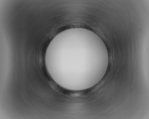 X0000114060662200910050956