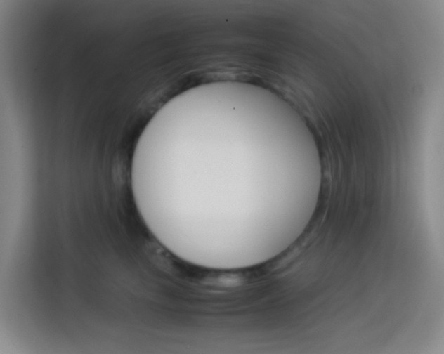 X0000114060665200910050956