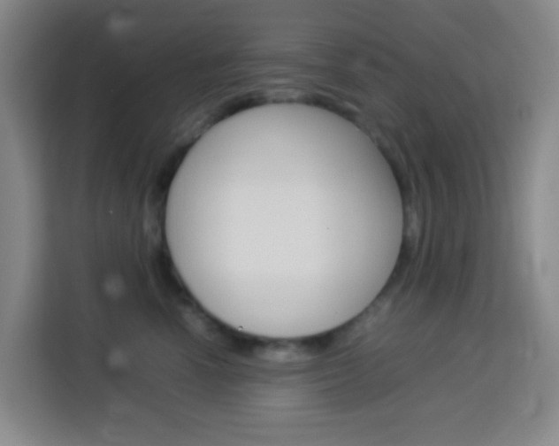 X0000114060666200910050956