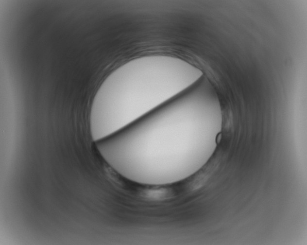 X0000114060669200910050956