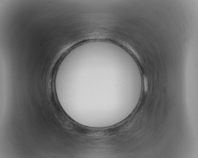 X0000114060675200910050956