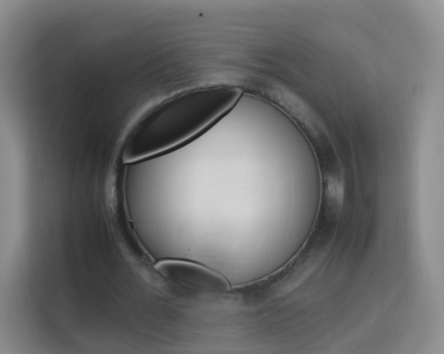X0000114060676200910050956