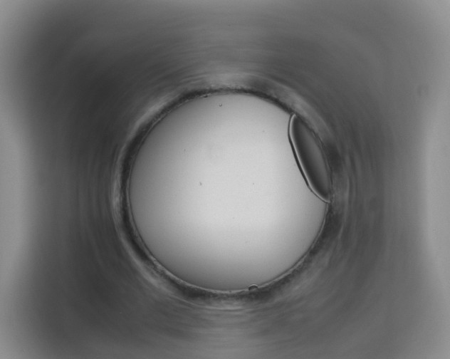 X0000114060677200910050956