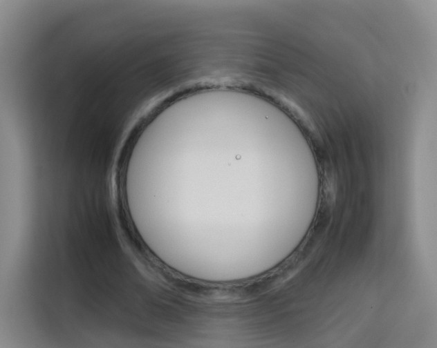 X0000114060678200910050956