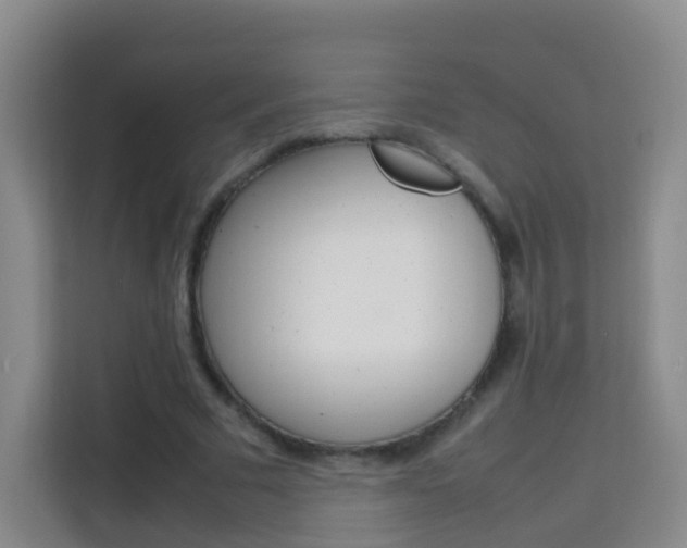 X0000114060681200910050956