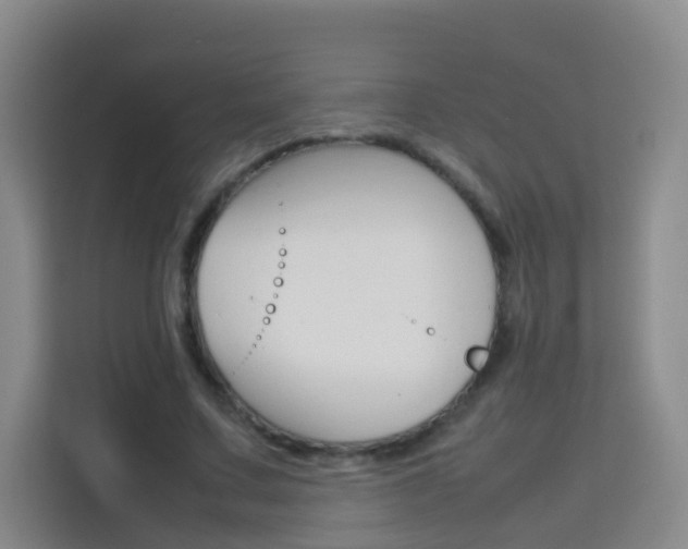 X0000114060683200910050956