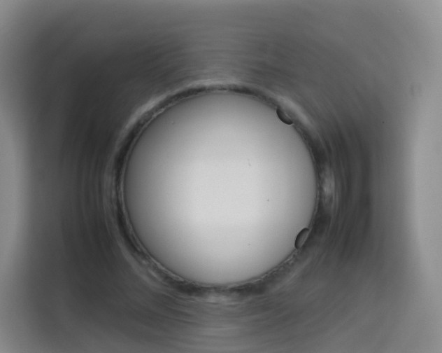 X0000114060684200910050956